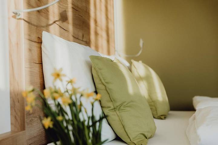 Ganze Wohnung, Flussbett - Dirndltaler Schlafgenuss - Doppelzimmer mit Klimaanlage in Gemeinde Kirchberg an der Pielach, Mostviertel