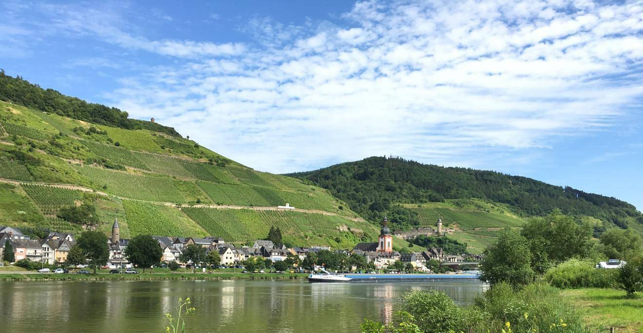 Ferienhaus Zell in Zell Stadt (Mosel), Zell (Mosel)