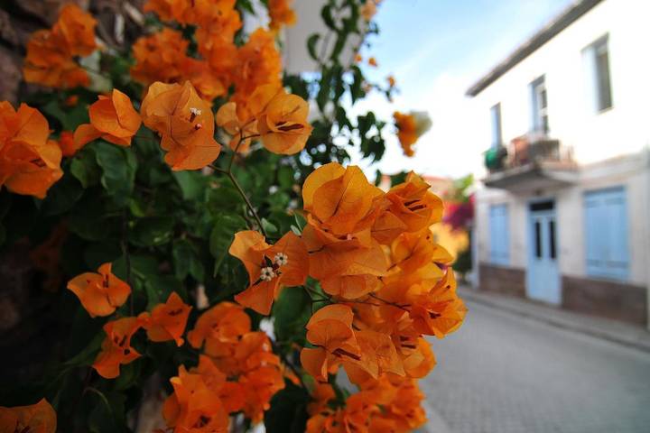 Location de vacances pour 6 personnes, avec vue et jardin à Galaxidi - 3