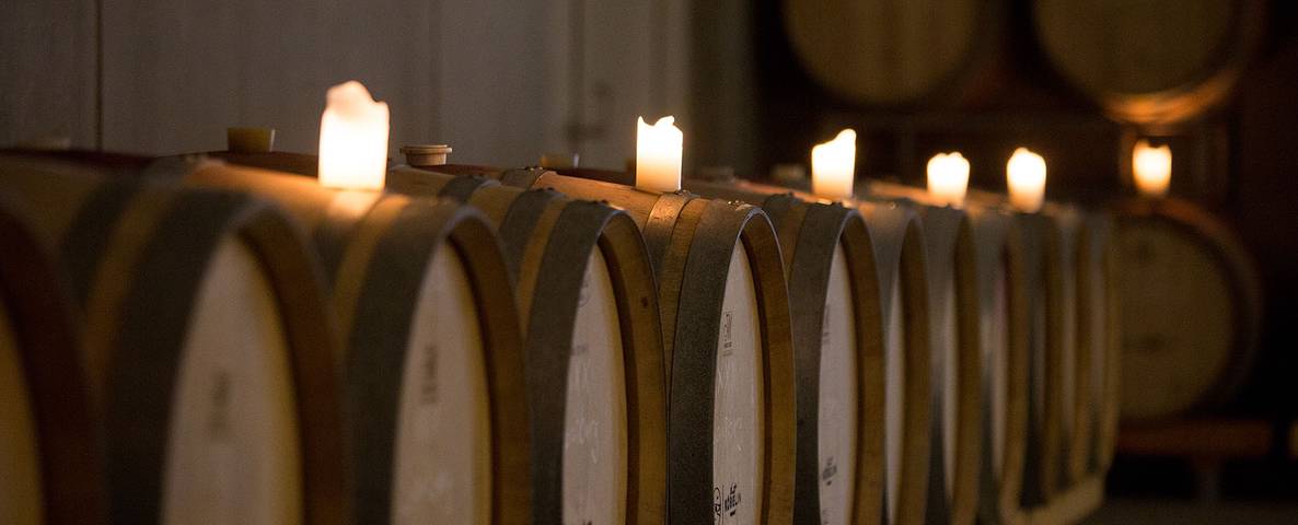 Weingut Arndt Köbelin - Wohnmobilstellplatz mit 3 Stellplätzen in Eichstetten am Kaiserstuhl, Kaiserstuhl