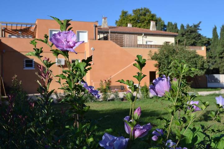 Maison de vacances pour 4 personnes, avec Terrasse à Latour-Bas-Elne
