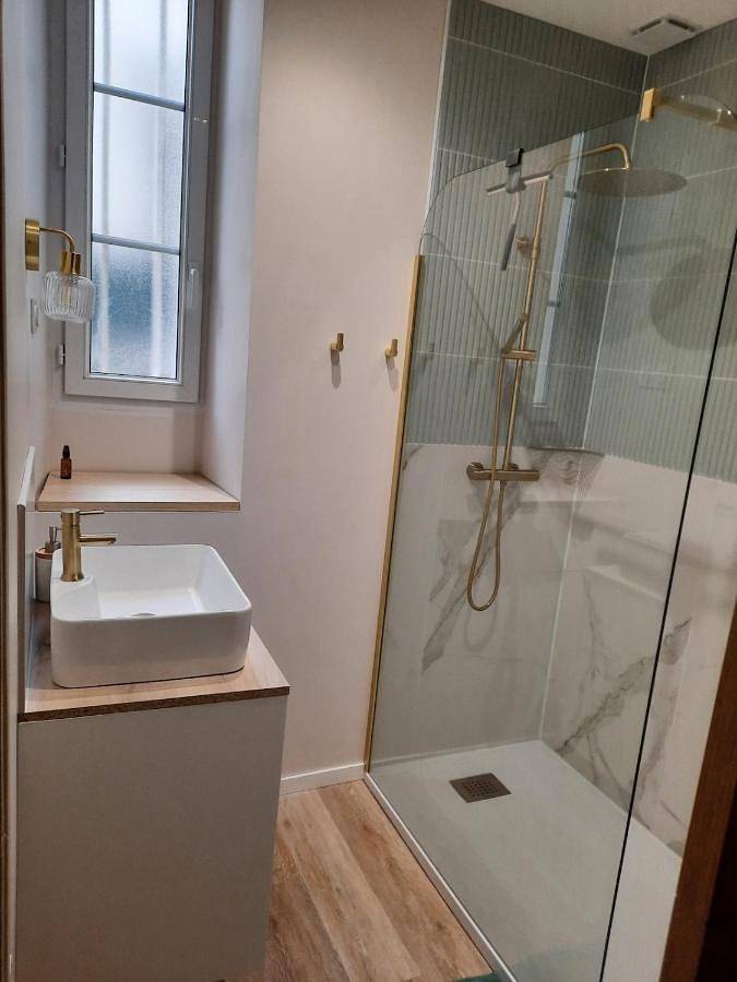 Appartement entier, La belle Alliance in Beaugency, Vallée de la Loire