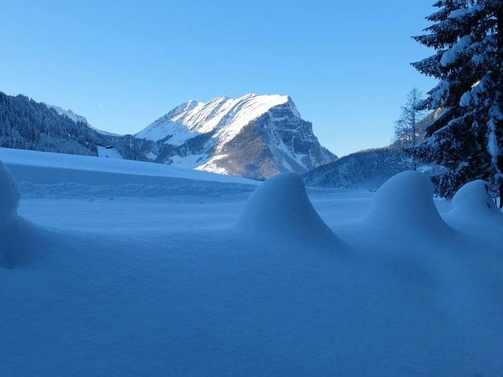 Gîte pour 3 personnes, avec balcon et jardin ainsi que sauna et vue à Schoppernau - 4