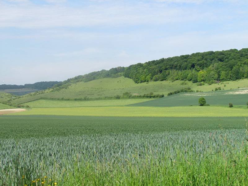 Gîtes de France® - La Forge in Campneuseville, Dieppe region