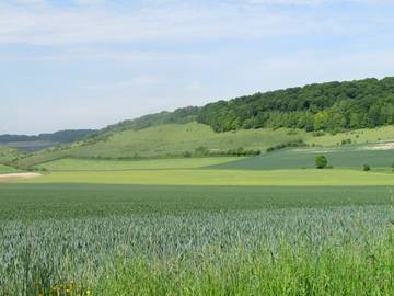 Gîte pour 4 Personnes dans Campneuseville, Seine-Maritime, Photo 3