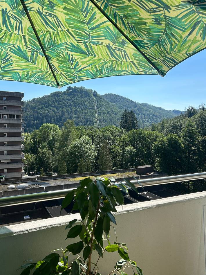 Ferienwohnung für 3 Personen, mit Balkon und Sauna in Bad Harzburg
