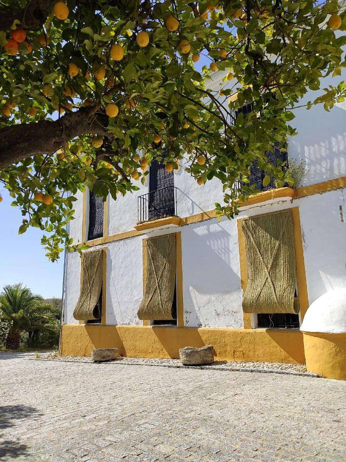 Chalet para 2 personas, con piscina además de jardín y vistas en Sierra de Cádiz - 2