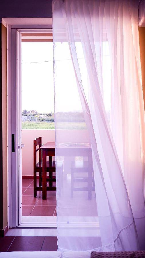 Chambre d’hôte pour 3 personnes, avec vue et jardin, animaux acceptés dans Cos - 3