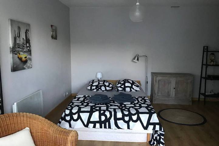 Location de vacances pour 10 personnes, avec jardin et jacuzzi, animaux acceptés à Nailloux - 4