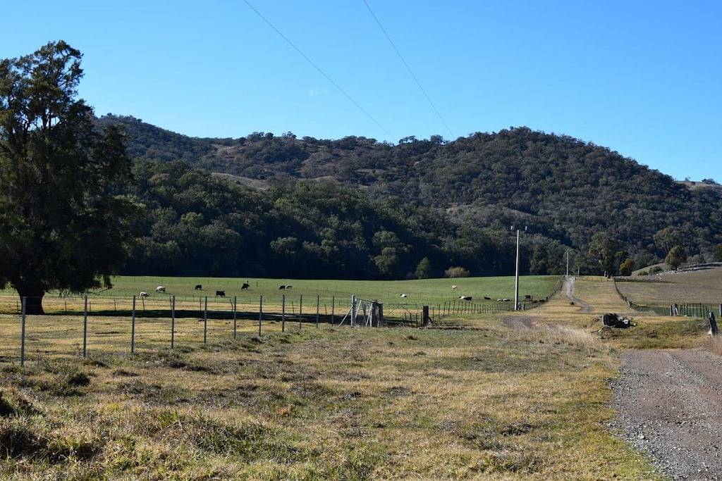 \"Nest on the Hill\" - Privatsphäre & Wohlfühlen. in Mid-Western Regional Council