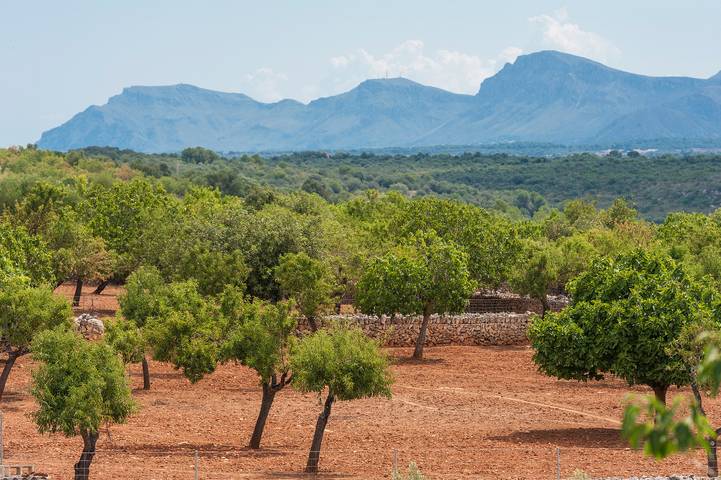 Finca für 2 Personen, mit Garten auf Mallorca Norden - 4