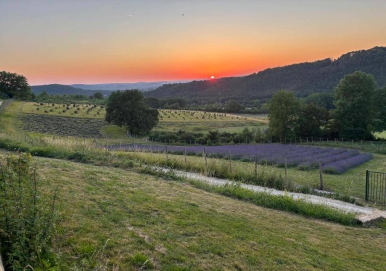 La Vielle Ferme - Domaine privé de 80 hectares - Climatisation in Saint-Germain-de-Belvès, Périgord Noir