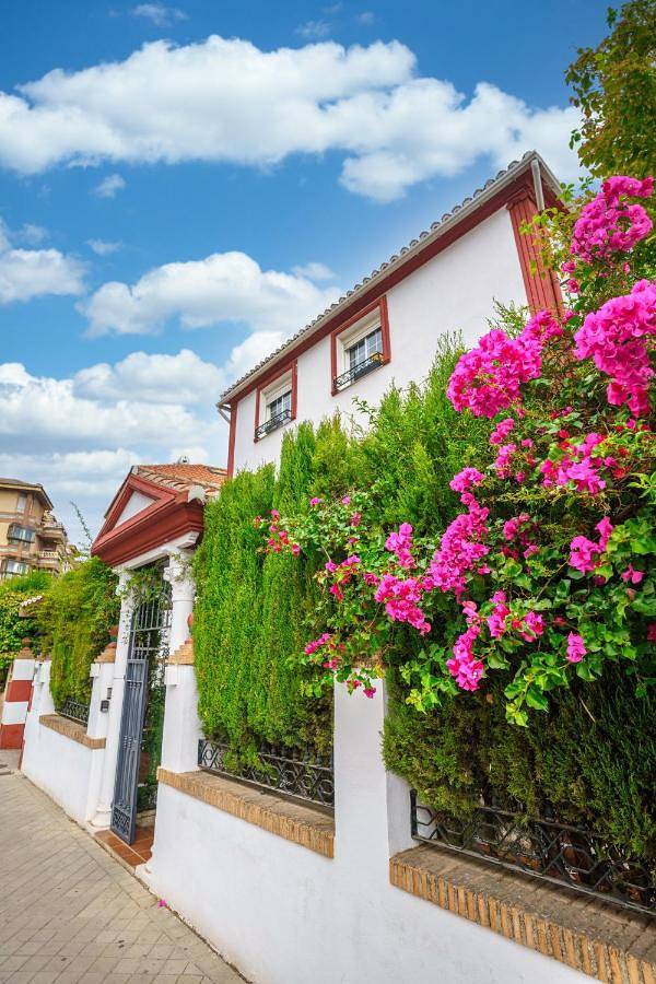 Maison d’hôte, avec Terrasse et Jardin à Grenade