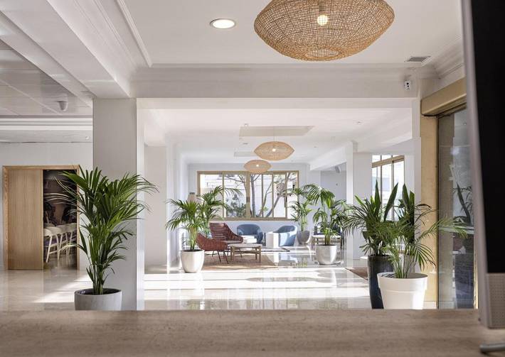 Hôtel pour 3 personnes, avec jardin et piscine, animaux acceptés à Porto Cristo - 3