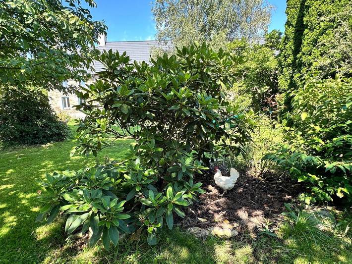 Gîte pour 2 personnes, avec jardin et vue, animaux acceptés à Saint-Lô - 2