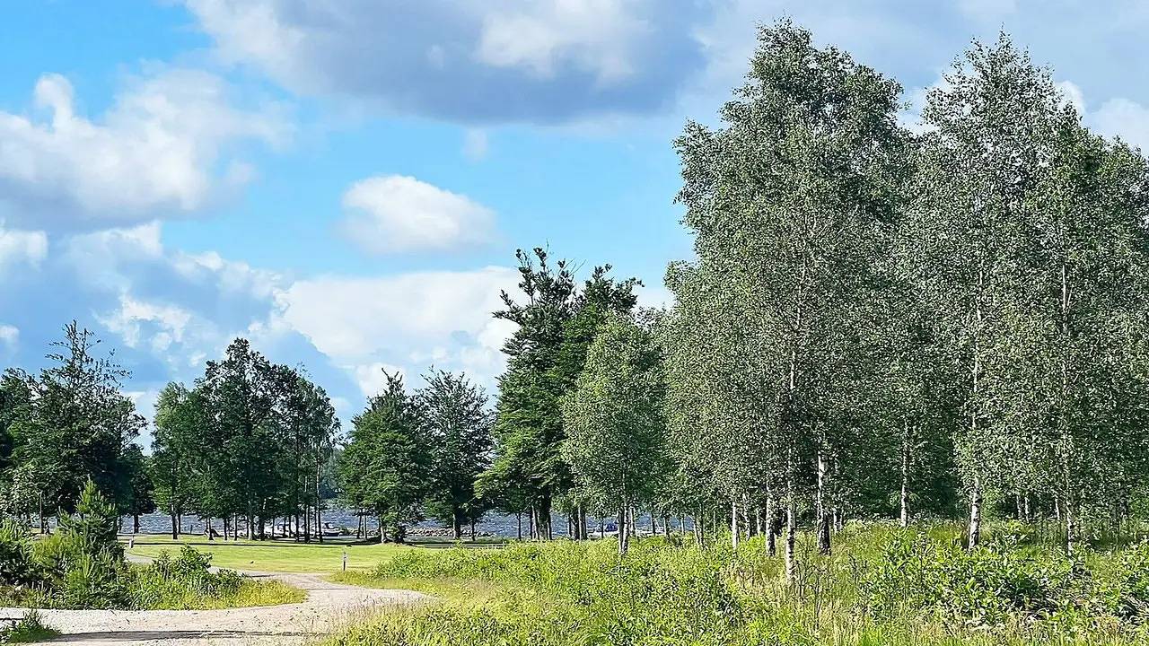 Ferienhaus für 5 Personen (40 m²) in Ljungby in Bolmen