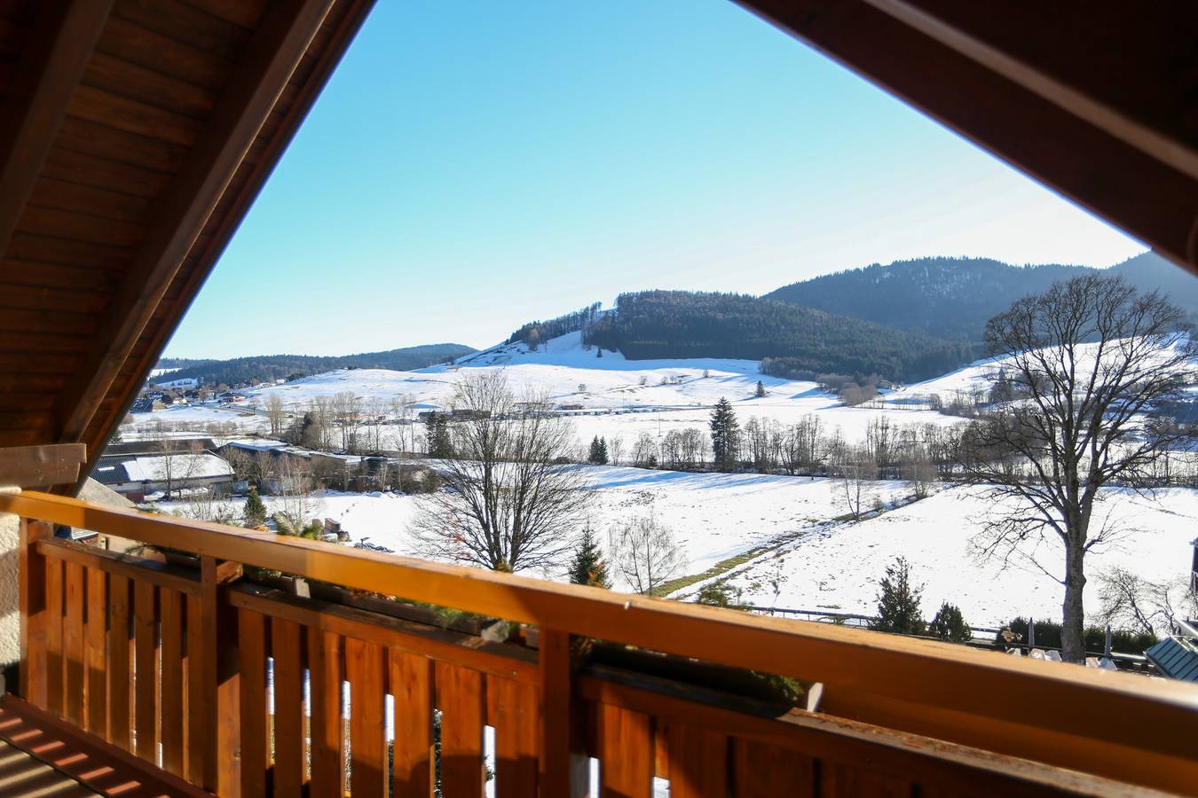 Ganze Wohnung, Ferienwohnung Fichte" mit Bergblick, Balkon und Wlan in Suedlicher Schwarzwald, Bernau im Schwarzwald