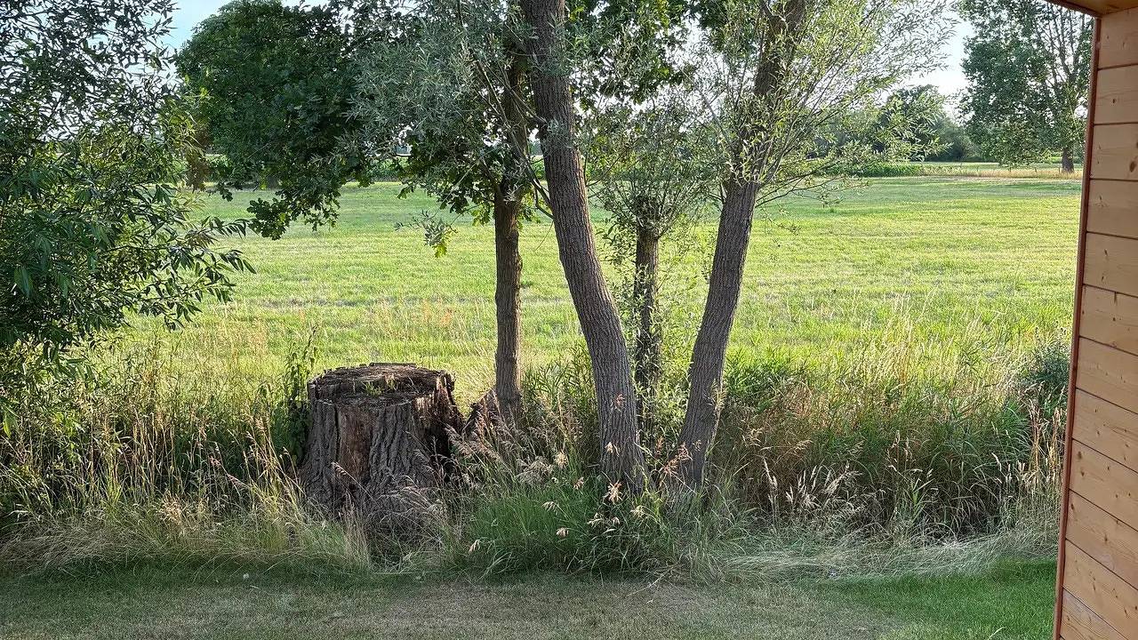 Ferienhaus für 4 Personen (37 m²) in Bleckede in Bleckede, Mecklenburgisches Elbetal