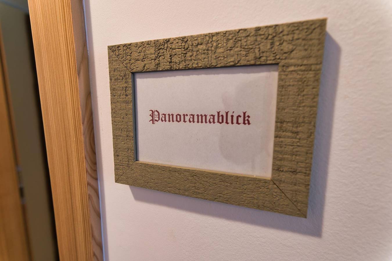 Ganze Ferienwohnung, Appartement Kärntnerhaus in Falkertsee in Reichenau (Österreich), Nockberge
