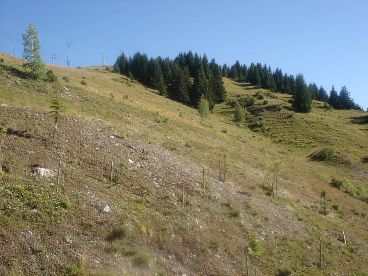 Apartamento entero, Apartamento luminoso 8 pers, parking, Courchevel 1650 in Courchevel 1650 (Moriond), Saint-Bon-Tarentaise