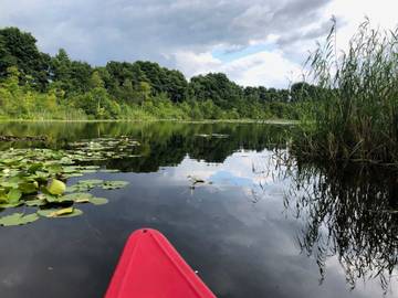 Ferienhaus für 5 Personen, mit Garten in Mecklenburg-Strelitz
