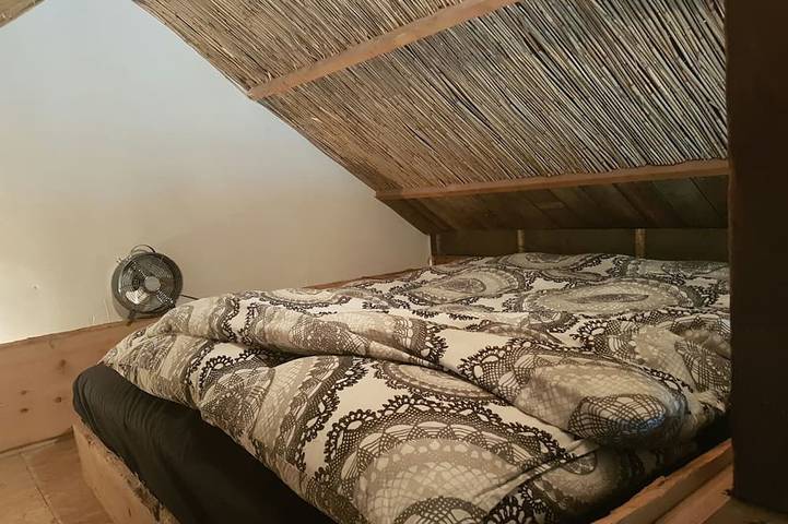 Gîte pour 5 personnes, avec jardin et jacuzzi à Velsen-Zuid - 2