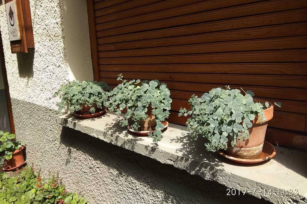 Casa Julio pour 6 personnes in Ordesa valley, Torla