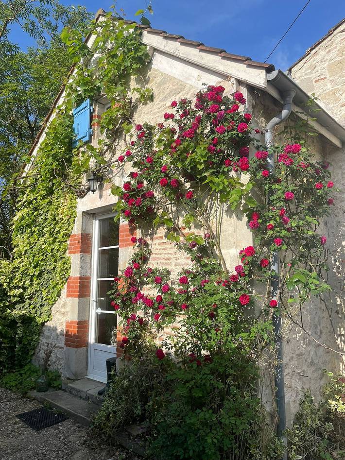 Gîte pour 3 personnes, avec piscine et jacuzzi, animaux acceptés à Penne-d'Agenais