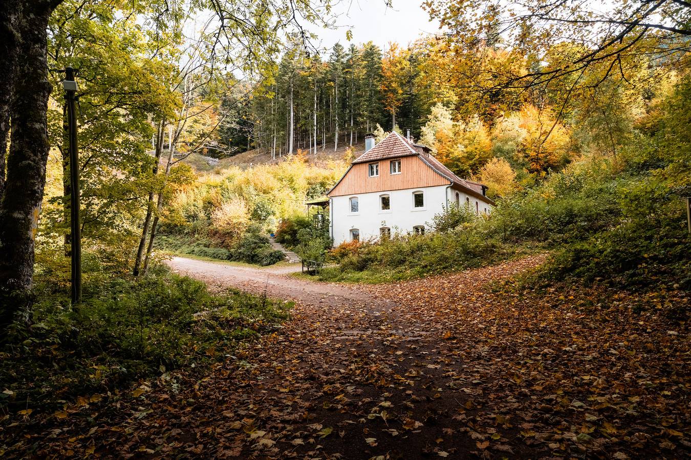 Cottage 'Le Zillhardthof 30 Pers' mit Balkon und Wlan in Sainte-Marie-aux-Mines, Regionaler Naturpark Belchen der Vogesen
