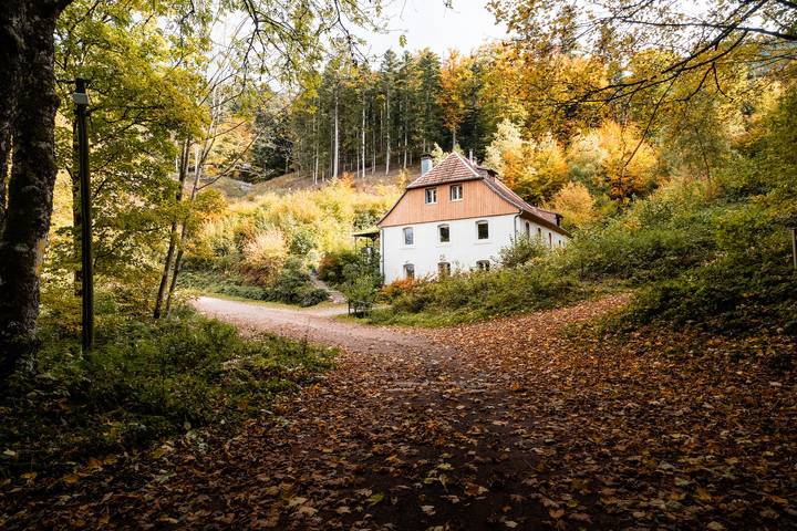 Maison de vacances pour 30 personnes, avec balcon en Alsace