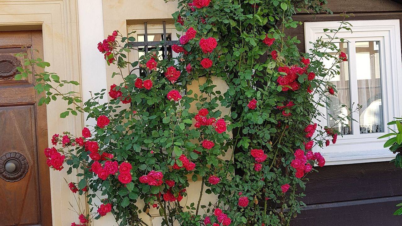 Appartamento intero, Ferienwohnung für 10 Personen (150 m²) in Großschönau in Grossschonau, Monti Zittau