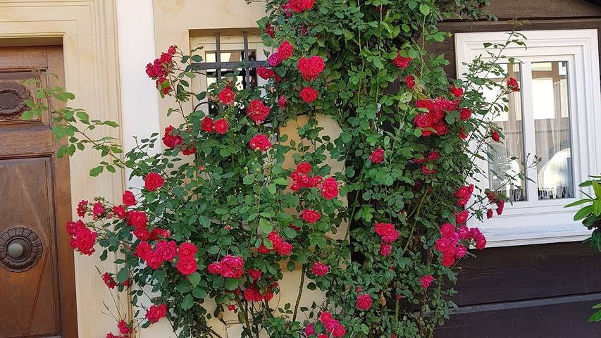 Ferienwohnung für 10 Personen, mit Garten in der Oberlausitz - 4