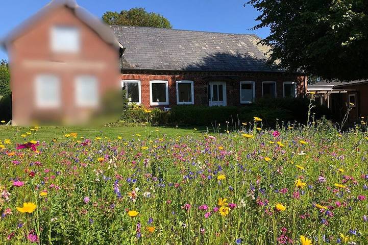 Ferienwohnung für 4 Personen, mit Garten und Terrasse, mit Haustier in Grundhof