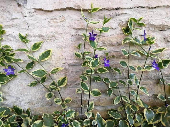 Chambre d’hôte pour 5 personnes, avec jardin, adapté aux familles dans vallée de l'Ouche - 4