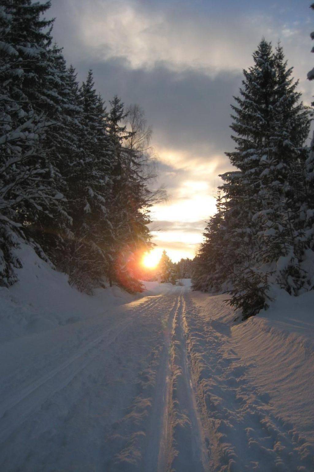 Ganze Wohnung, Birkenhain in Haidmühle, Ostbayern