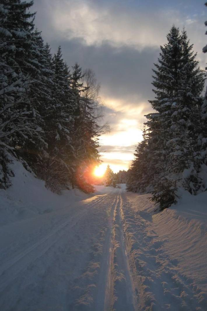 Ferienwohnung für 2 Personen, mit Garten in Haidmühle - 3