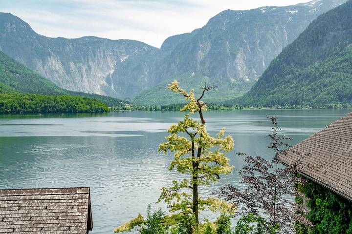 Ganze Ferienwohnung, Hallstatt Lakeview Apartments - Seeblick in Hallstatt, Dachstein Salzkammergut