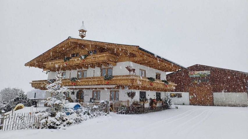 Bauernhof für 7 Personen, mit Pool und Balkon, mit Haustier in Saalfelden am Steinernen Meer