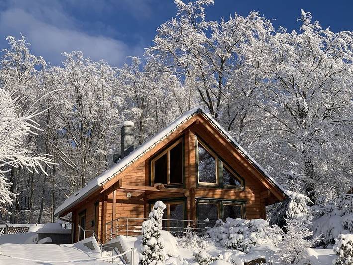 Ferienhaus für 4 Personen, mit Terrasse und Sauna in Friedrichsbrunn - 2