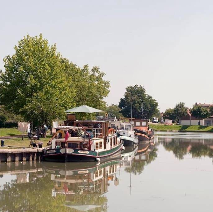 Gîte pour 2 personnes, animaux acceptés à Decize - 4