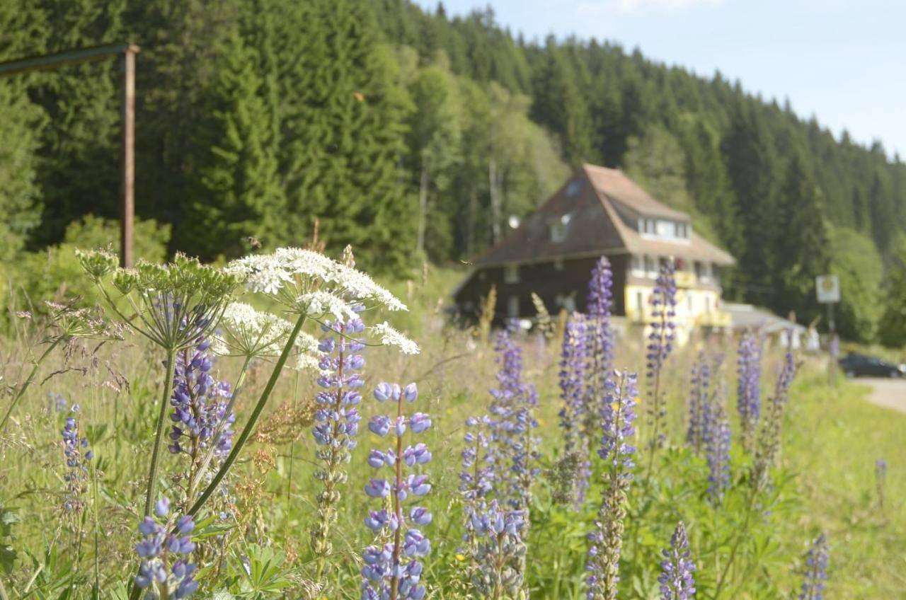 Standard Double Room in Hinterzarten, Forêt-Noire du Sud