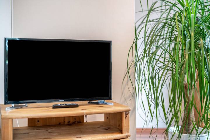Entire apartment, Apartment 'Burgblick' with Mountain View, Shared Garden and Wi-Fi in Gutach town, Hausach