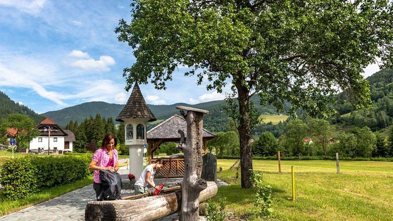 Ferienhaus für 4 Personen (100 m²) in Metnitz in Metnitz, Mittelkärnten