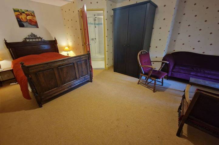 Château pour 18 personnes, avec jardin ainsi que piscine et jacuzzi dans Auvergne-Rhône-Alpes - 4