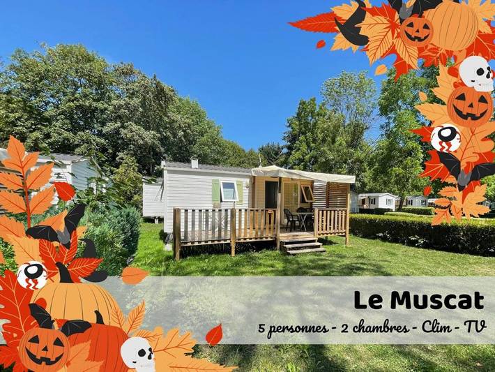 Gîte pour 5 personnes, avec terrasse ainsi que piscine et vue, animaux acceptés à Boofzheim