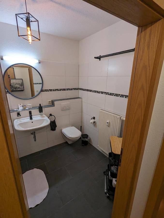 Ganze Wohnung, Zentrumsnahe Wohnung mit Sonnenterrasse in Leipzig-Südost, Leipzig