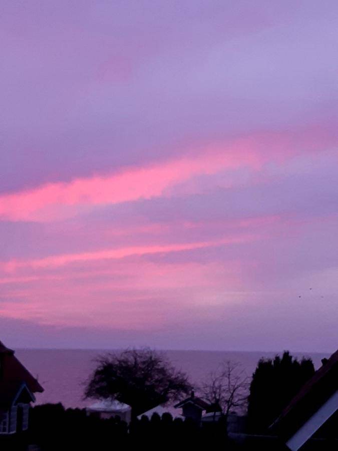 Maison d’hôte pour 2 personnes, avec jardin à Nida - 2