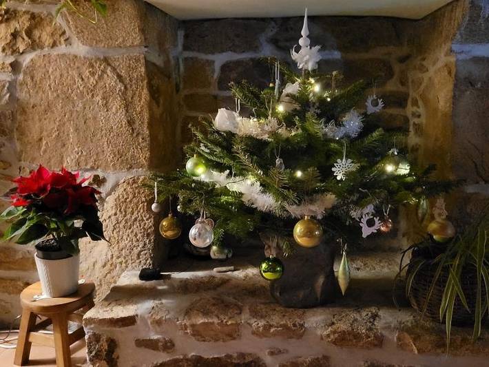 Gîte pour 3 personnes, avec terrasse à Pluneret - 4