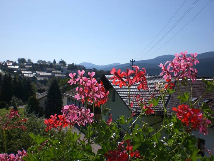 Ferienwohnung für 4 Personen, mit Balkon und Balkon/Terrasse sowie Garten in Landkreis Cham - 2