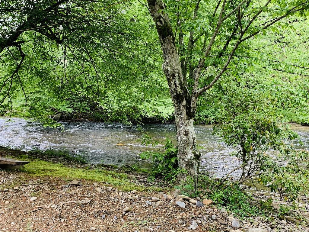 Log Cabin for 4 Guests in Fontana Lake, Swain County